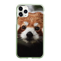 Чехол iPhone 11 Pro матовый Малая панда