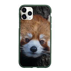 Чехол iPhone 11 Pro матовый Крaсная панда