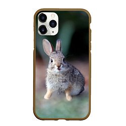 Чехол iPhone 11 Pro матовый Малыш кролик, цвет: 3D-коричневый