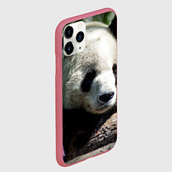 Чехол iPhone 11 Pro матовый Пандa, цвет: 3D-малиновый — фото 2