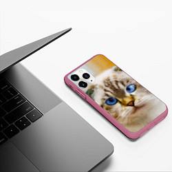 Чехол iPhone 11 Pro матовый Кошка породы шотландская вислоухая косоглазая, цвет: 3D-малиновый — фото 2