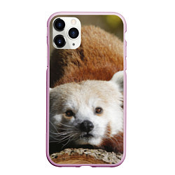 Чехол iPhone 11 Pro матовый Красная панда ждёт, цвет: 3D-розовый