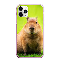 Чехол iPhone 11 Pro матовый Capybara on green grass, цвет: 3D-розовый