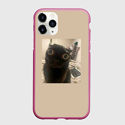 Чехол iPhone 11 Pro матовый Котик из мема, цвет: 3D-малиновый