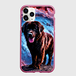 Чехол iPhone 11 Pro матовый Ньюфаундленд в космосе