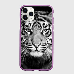 Чехол iPhone 11 Pro матовый Красавец тигр
