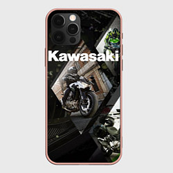 Чехол iPhone 12 Pro Max Kawasaky