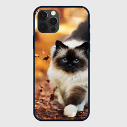 Чехол iPhone 12 Pro Max Котик в листьях