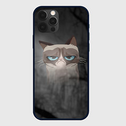 Чехол для iPhone 12 Pro Max Grumpy Cat, цвет: 3D-черный