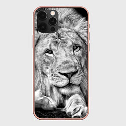 Чехол iPhone 12 Pro Max Милый лев