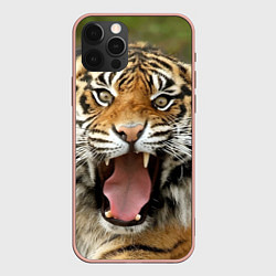 Чехол iPhone 12 Pro Max Удивленный тигр