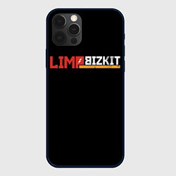 Чехол iPhone 12 Pro Max Limp Bizkit