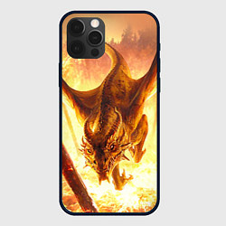 Чехол для iPhone 12 Pro Max Дракон, цвет: 3D-черный