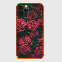 Чехол iPhone 12 Pro Max Бархатные розы