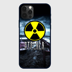 Чехол для iPhone 12 Pro Max S.T.A.L.K.E.R: Radiation, цвет: 3D-черный