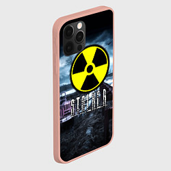 Чехол для iPhone 12 Pro Max S.T.A.L.K.E.R: Radiation, цвет: 3D-светло-розовый — фото 2