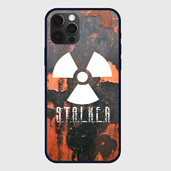 Чехол iPhone 12 Pro Max S.T.A.L.K.E.R: Orange Toxic