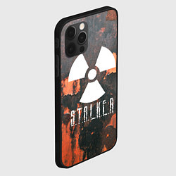 Чехол для iPhone 12 Pro Max S.T.A.L.K.E.R: Orange Toxic, цвет: 3D-черный — фото 2