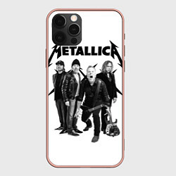 Чехол iPhone 12 Pro Max Metallica