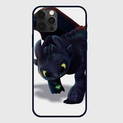 Чехол iPhone 12 Pro Max Как приручить дракона