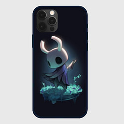 Чехол iPhone 12 Pro Max Hollow Knight