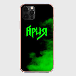 Чехол iPhone 12 Pro Max Ария