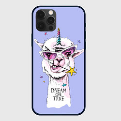 Чехол для iPhone 12 Pro Max Dream come true, цвет: 3D-черный