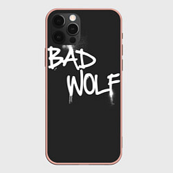 Чехол iPhone 12 Pro Max Bad Wolf