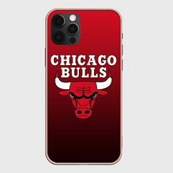 Чехол iPhone 12 Pro Max CHICAGO BULLS