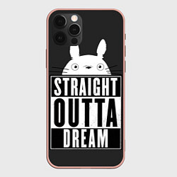 Чехол для iPhone 12 Pro Max Тоторо Straight outta dream, цвет: 3D-светло-розовый