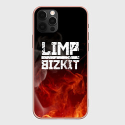 Чехол iPhone 12 Pro Max LIMP BIZKIT