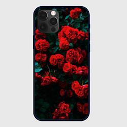Чехол iPhone 12 Pro Max Розы