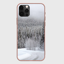 Чехол iPhone 12 Pro Max Зимняя природа