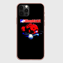 Чехол iPhone 12 Pro Max LIMP BIZKIT