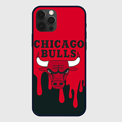 Чехол для iPhone 12 Pro Max Chicago Bulls, цвет: 3D-черный