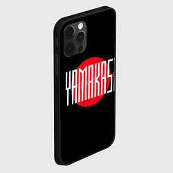 Чехол для iPhone 12 Pro Max Yamakasi, цвет: 3D-черный — фото 2