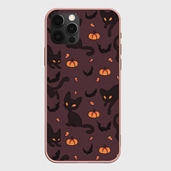 Чехол iPhone 12 Pro Max Хэллоуиновский кот