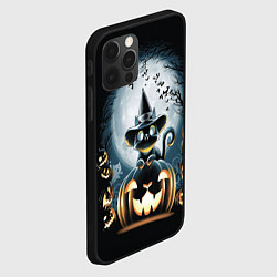 Чехол для iPhone 12 Pro Max Хэллоуин Кот, цвет: 3D-черный — фото 2