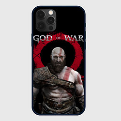 Чехол iPhone 12 Pro Max God of War