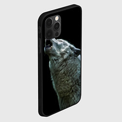 Чехол для iPhone 12 Pro Max Воющий волк, цвет: 3D-черный — фото 2