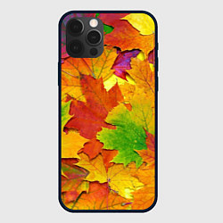 Чехол iPhone 12 Pro Max Осенние листья