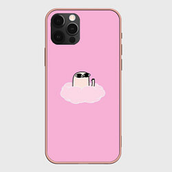 Чехол для iPhone 12 Pro Max Мем, цвет: 3D-светло-розовый