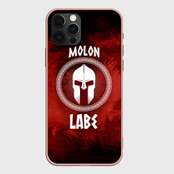 Чехол для iPhone 12 Pro Max Molon Labe, цвет: 3D-светло-розовый