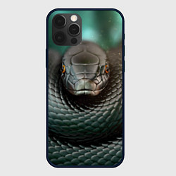Чехол для iPhone 12 Pro Max Чёрная мамба, цвет: 3D-черный