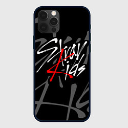 Чехол iPhone 12 Pro Max STRAY KIDS