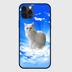 Чехол для iPhone 12 Pro Max Кот в облаках, цвет: 3D-черный