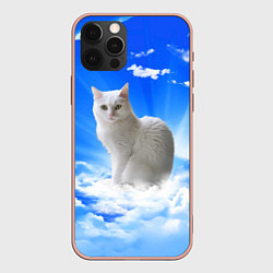 Чехол iPhone 12 Pro Max Кот в облаках