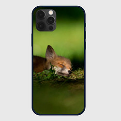 Чехол для iPhone 12 Pro Max Сонный лисенок, цвет: 3D-черный