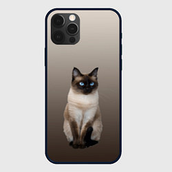 Чехол iPhone 12 Pro Max Сиамский кот голубые глаза
