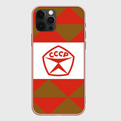 Чехол iPhone 12 Pro Max Советское печенье